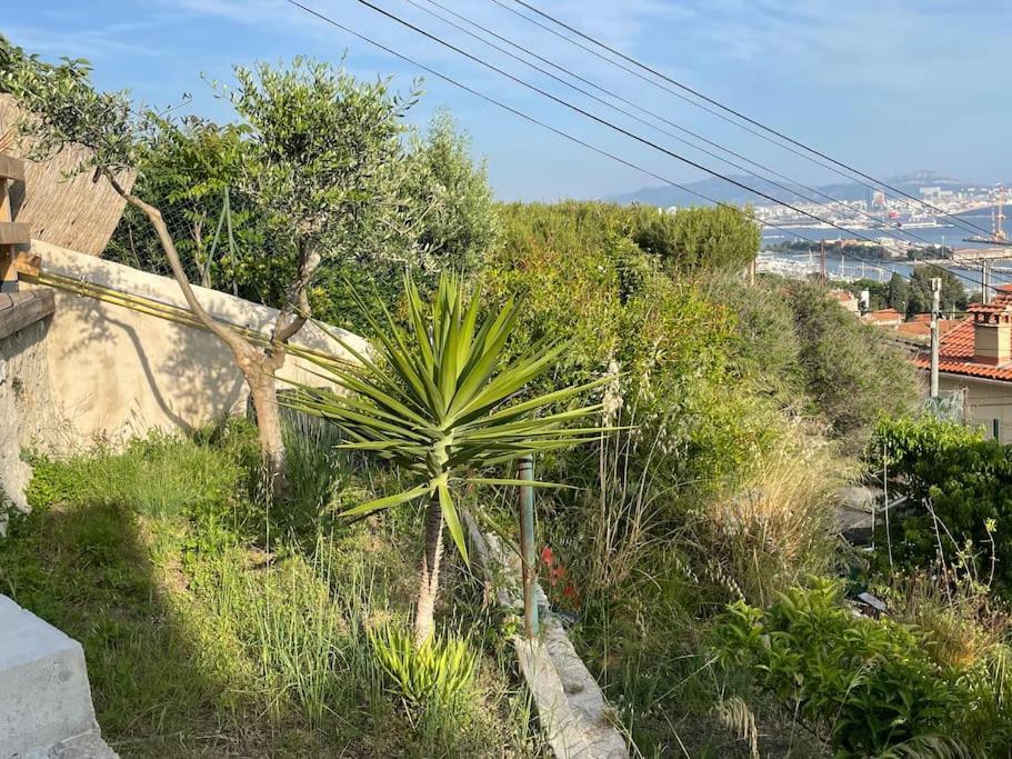 Superbe Terrasse Avec Vue Panoramique Sur La Mer Marseille Eksteriør bilde