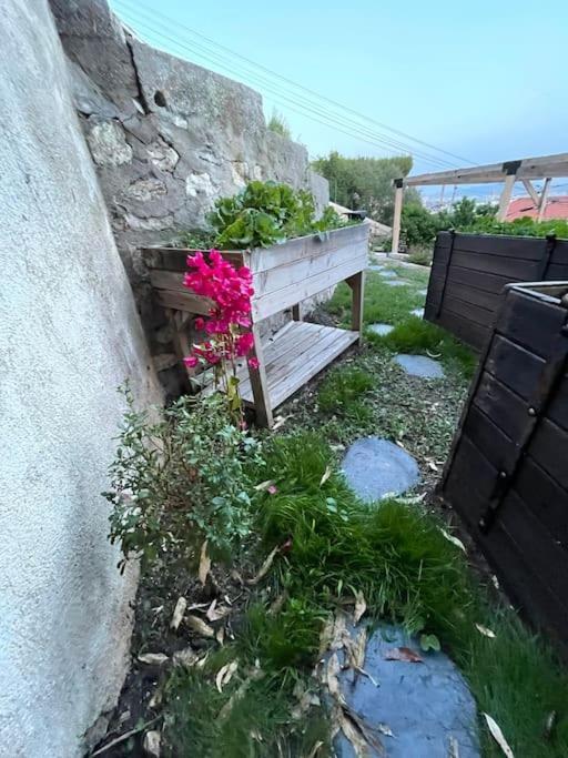 Superbe Terrasse Avec Vue Panoramique Sur La Mer Marseille Eksteriør bilde