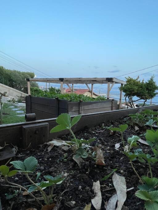 Superbe Terrasse Avec Vue Panoramique Sur La Mer Marseille Eksteriør bilde